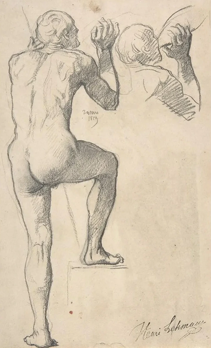 Back View of a Male Nude