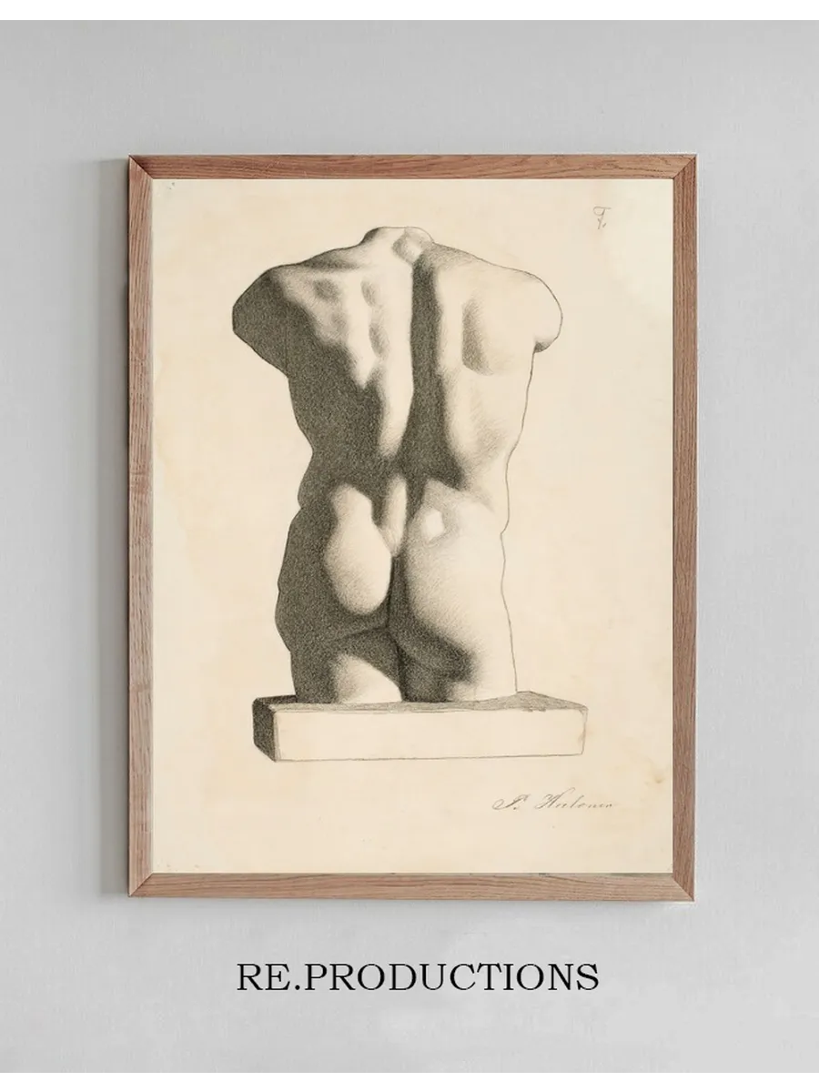 Back of a Male Torso