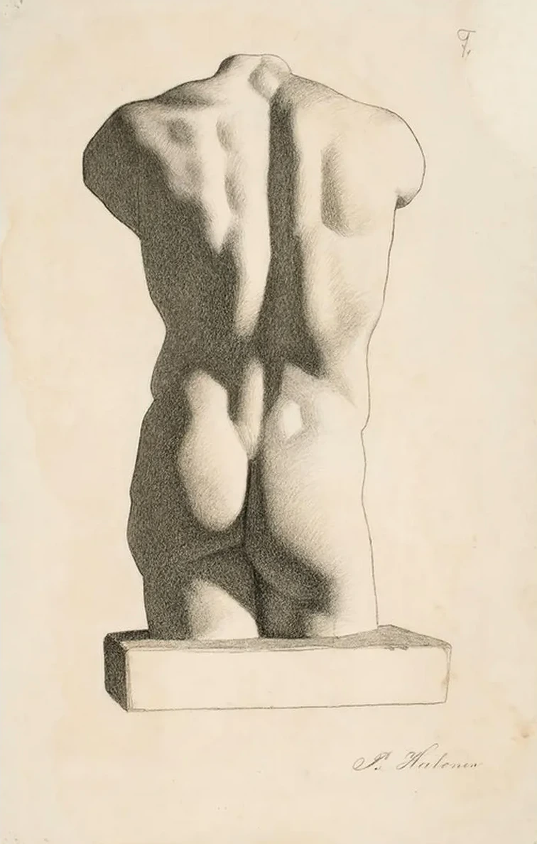 Back of a Male Torso
