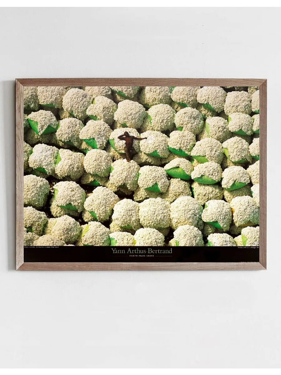 Bales of Cotton Thonakaha Korhogo Ivory Coast