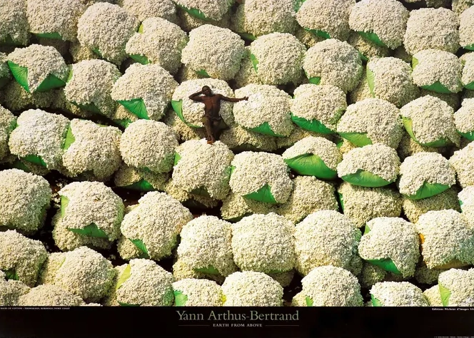 Bales of Cotton Thonakaha Korhogo Ivory Coast
