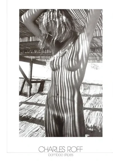 Bamboo Stripes