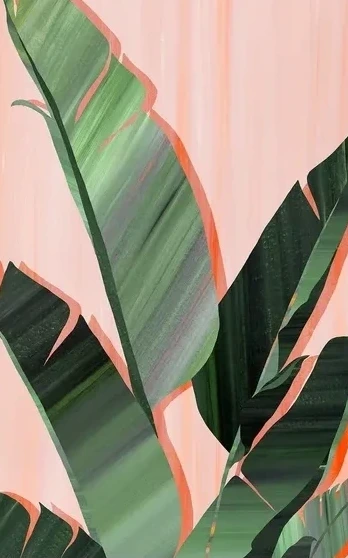 Banana Leaves