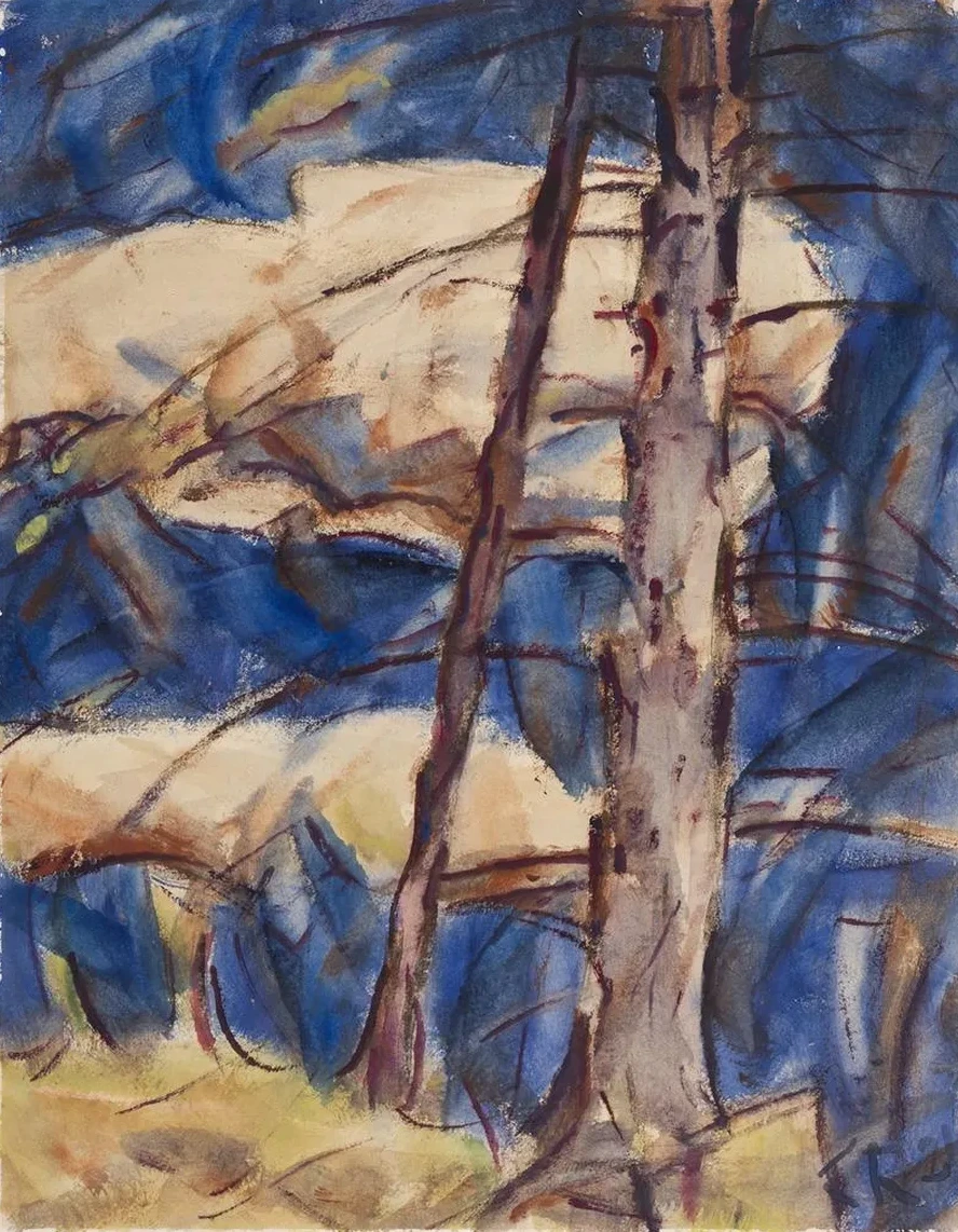 Bare Conifers