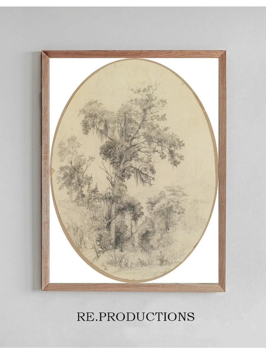 Baum Mit Herabh Ngenden Pflanzenfasern