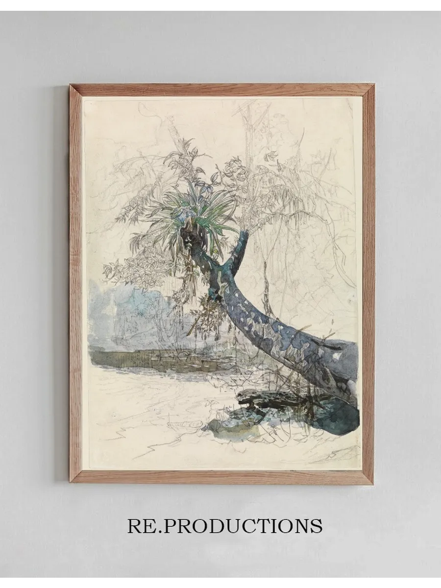 Baumzweig Mit Lianen an Einem Urwaldfluss