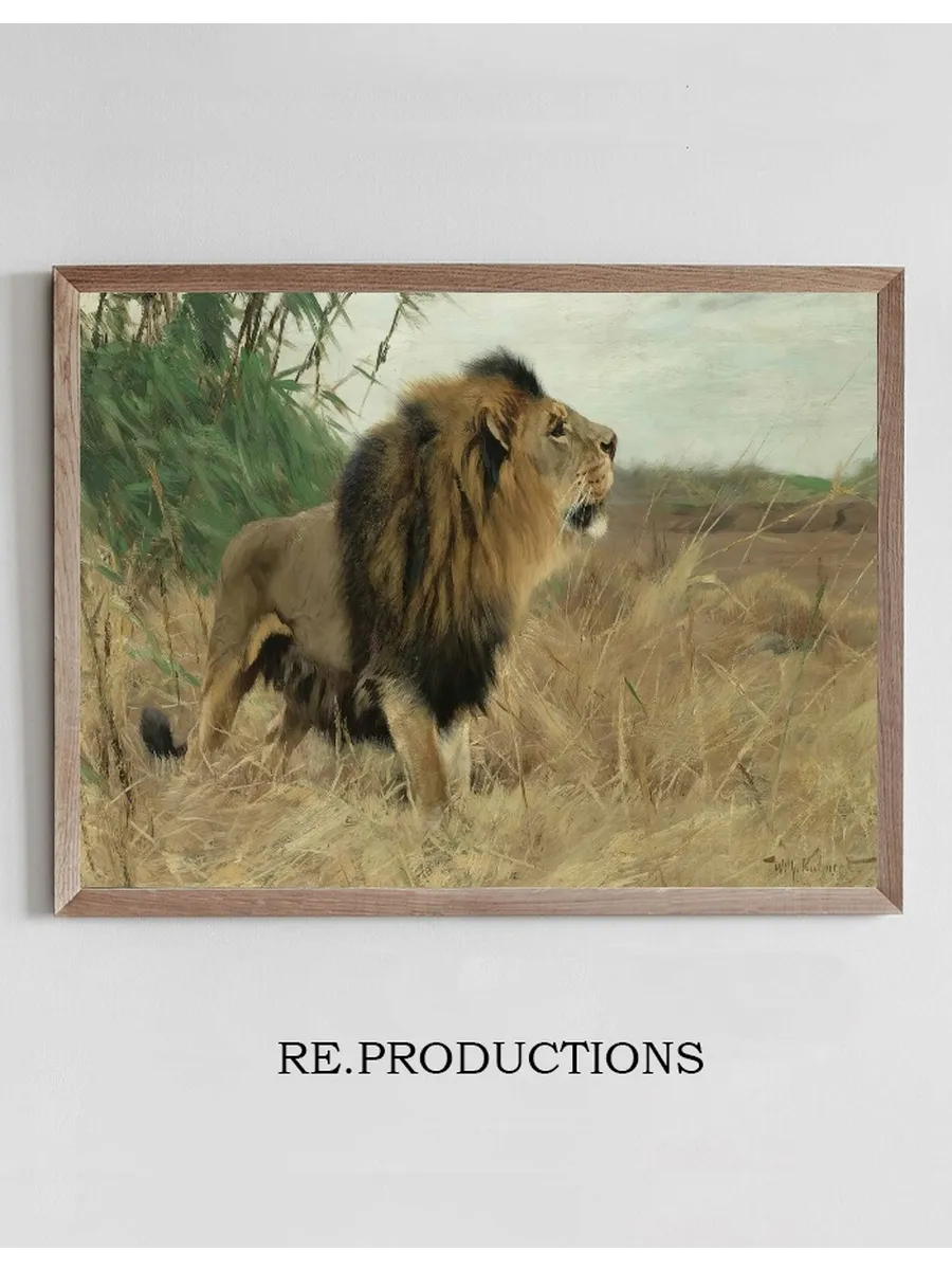 Beberl we (Berber Lion)