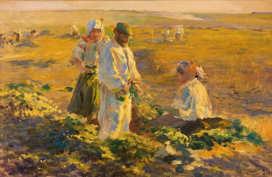 Beet - Lifting