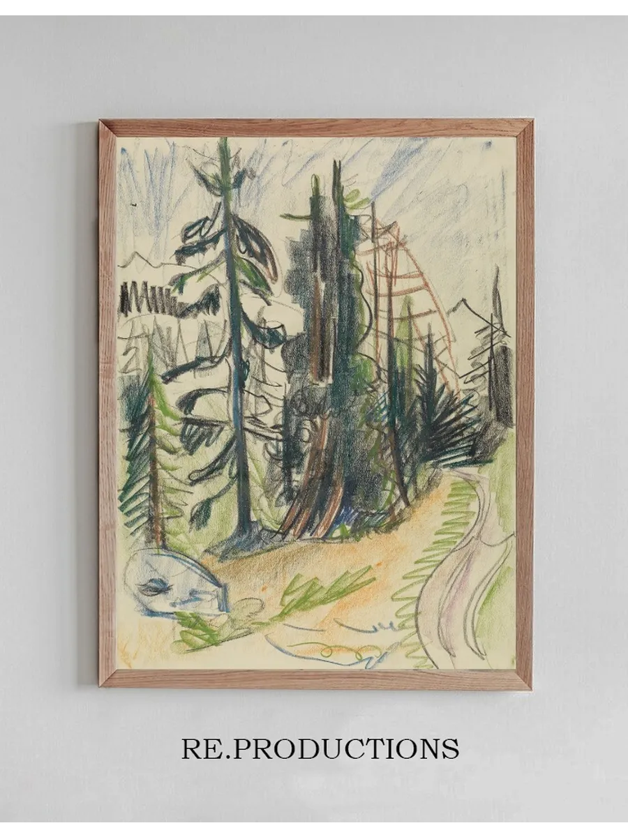 Bergtannen Und Weg