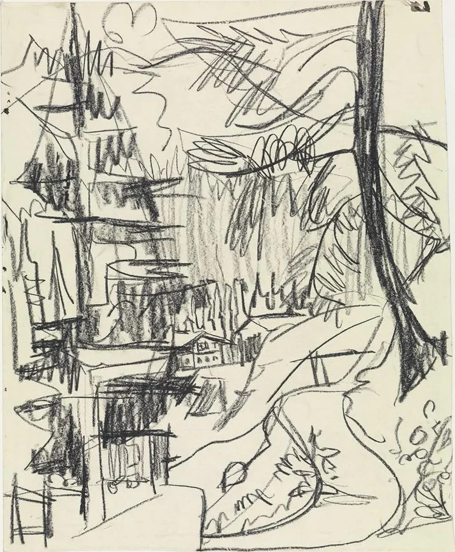 Bergwald Und H Tten