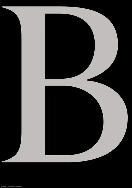 Berlingske B