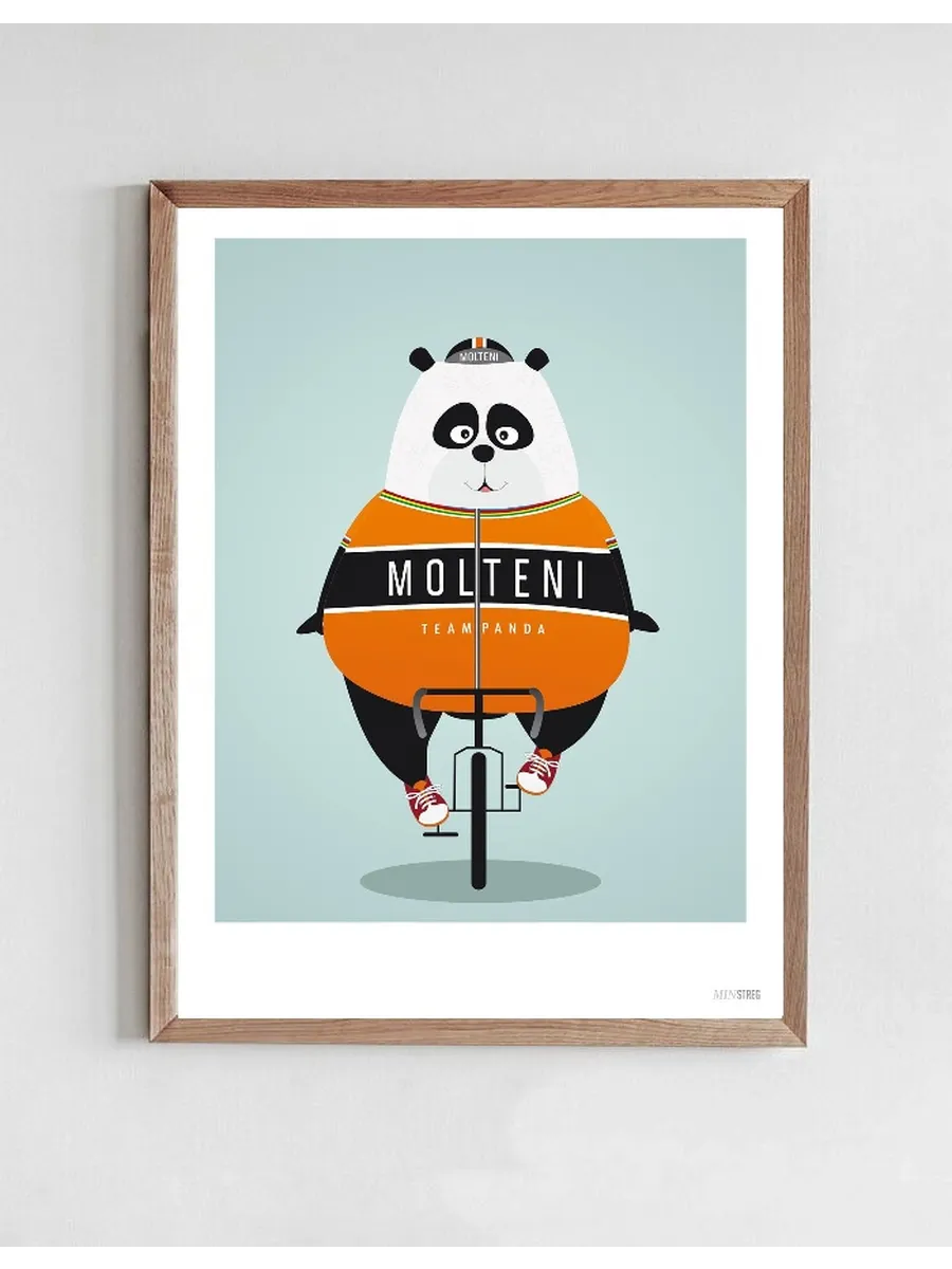 Biking Panda