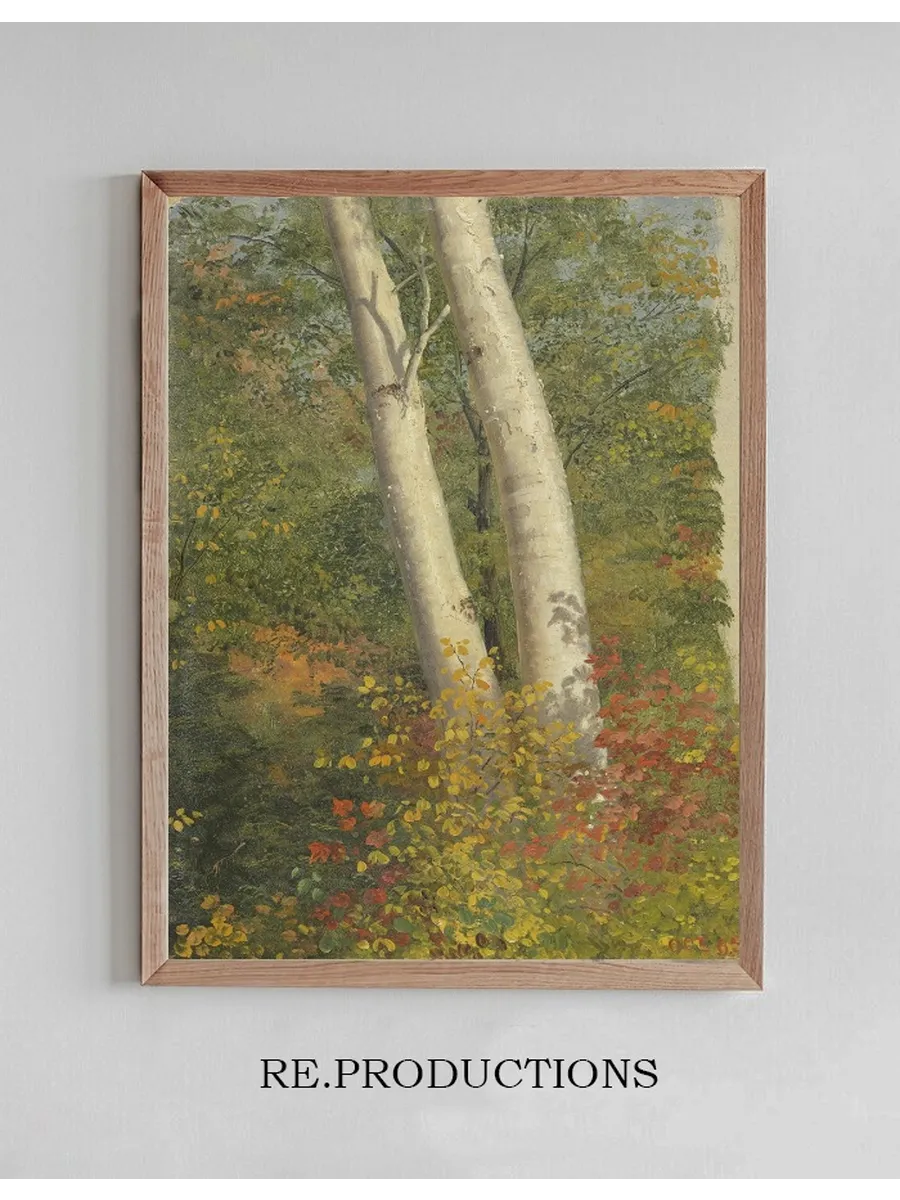 Birch Trees in Autumn