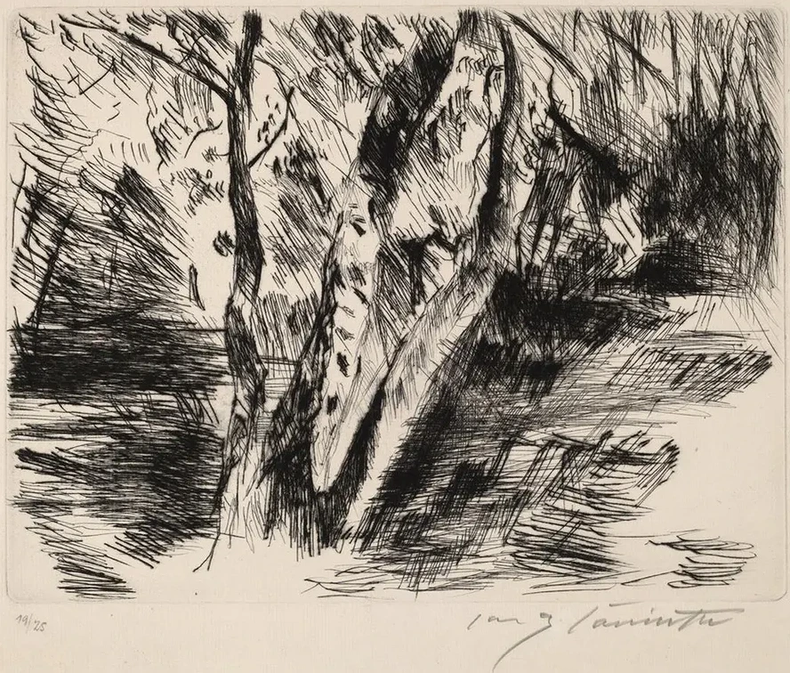 Birch Trees in the Tiergarten