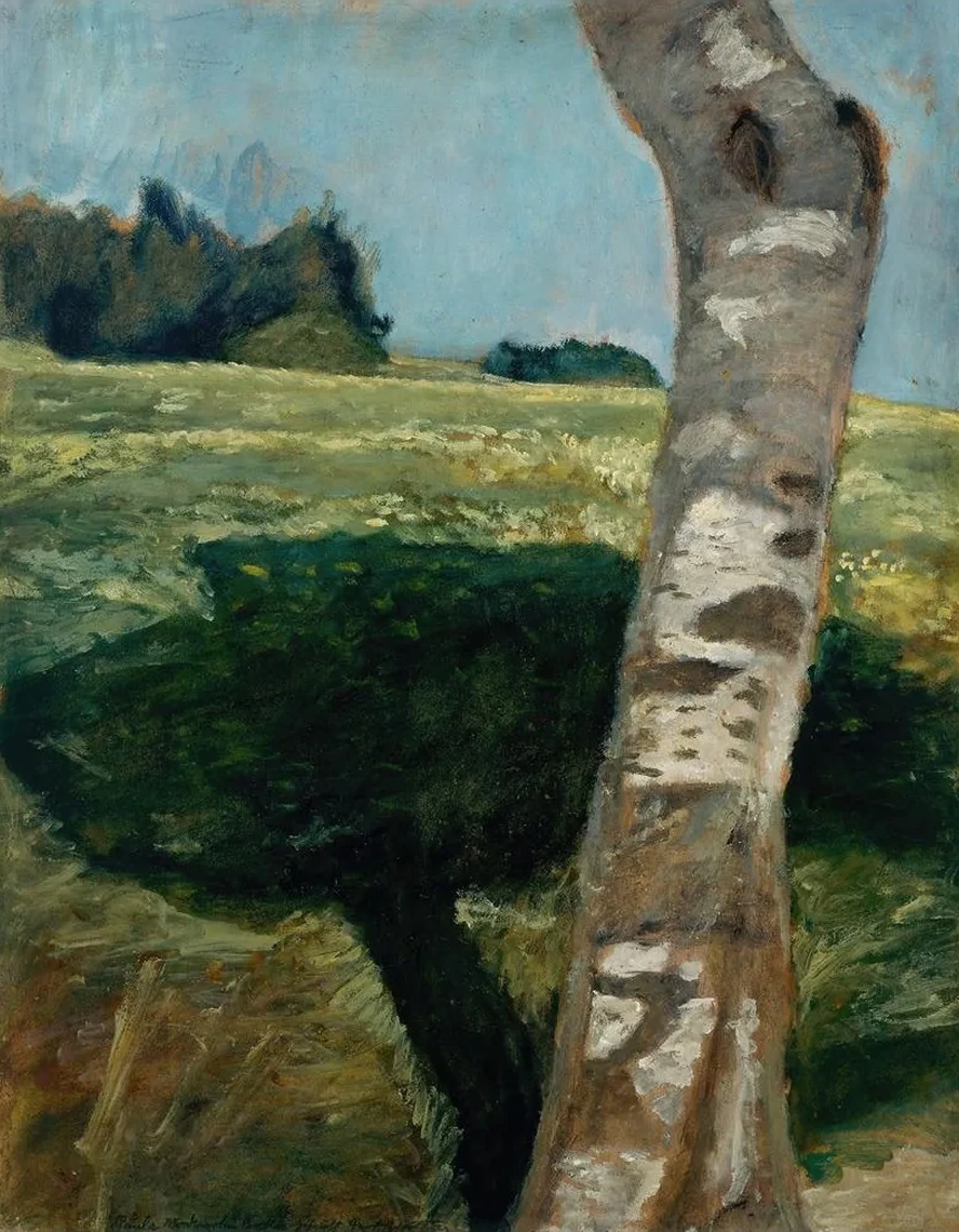 Birch Trunk