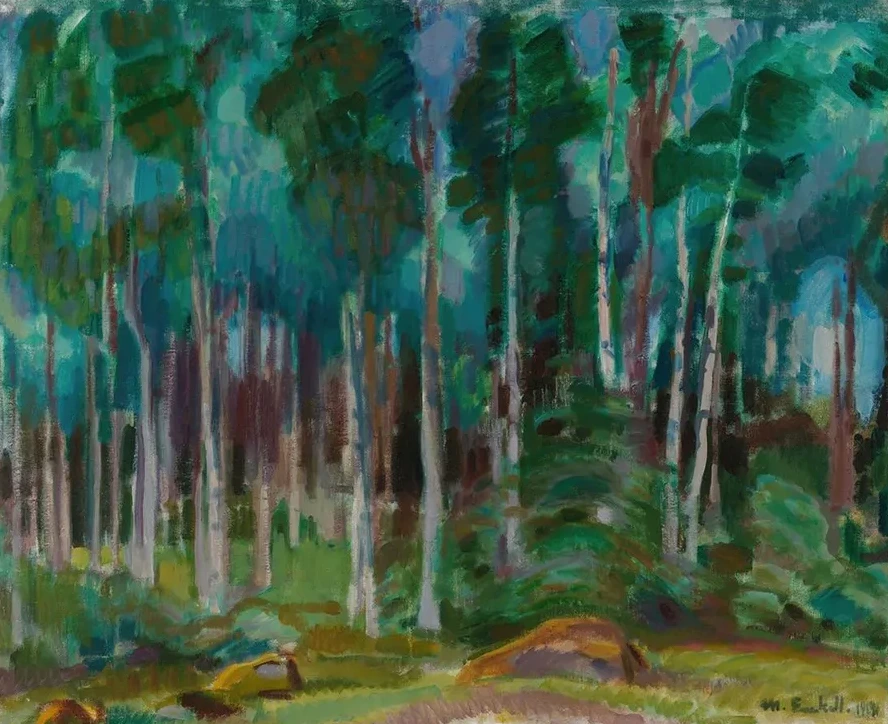 Birches in V ksy