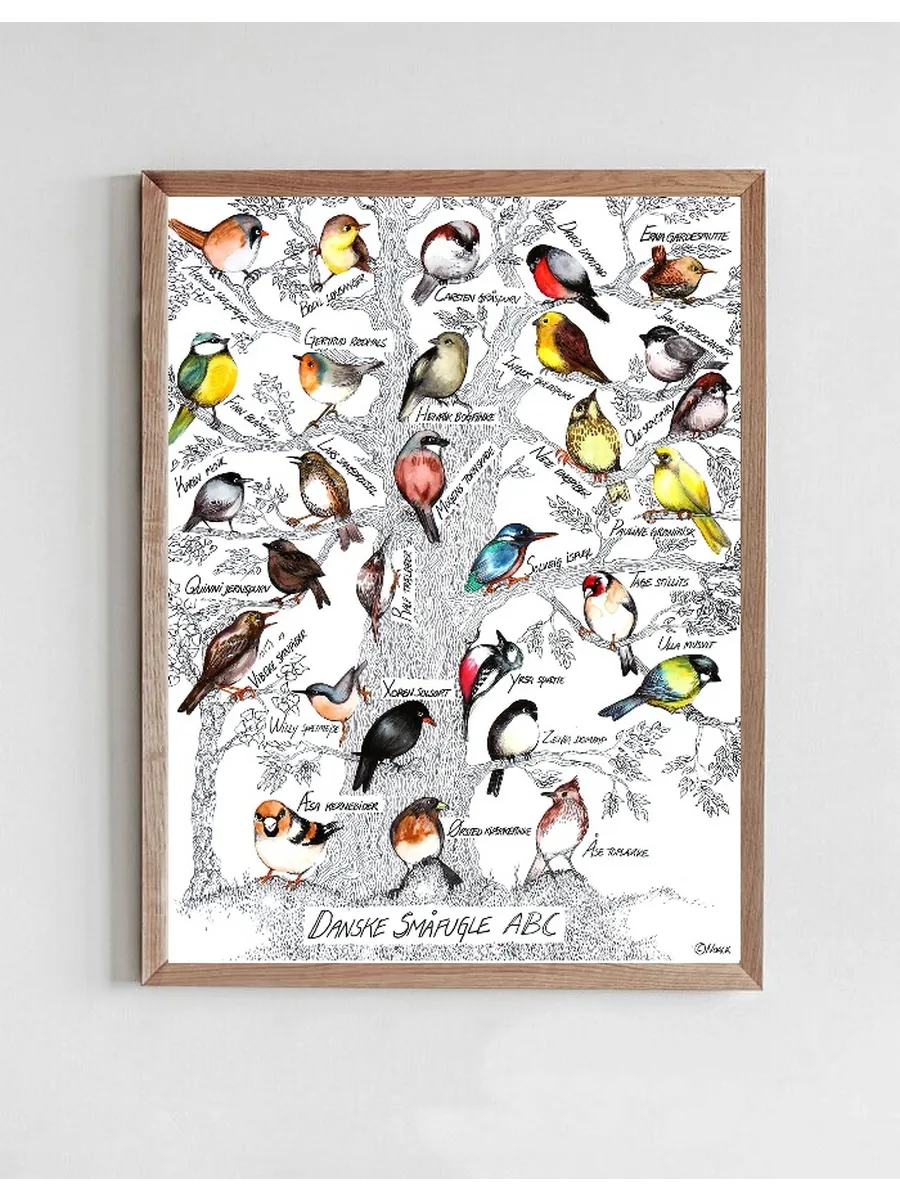 Bird ABC