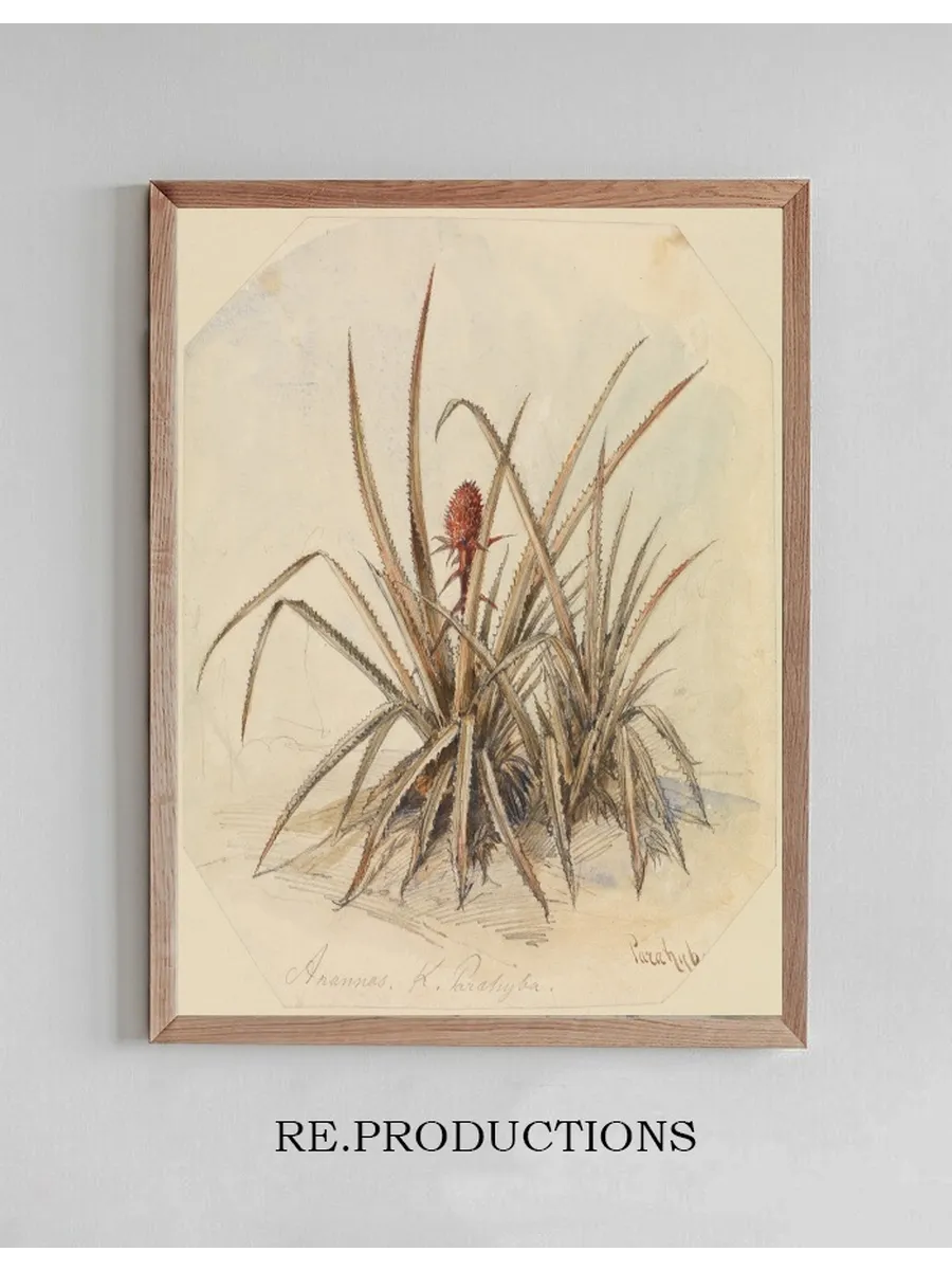 Bl hende Ananas