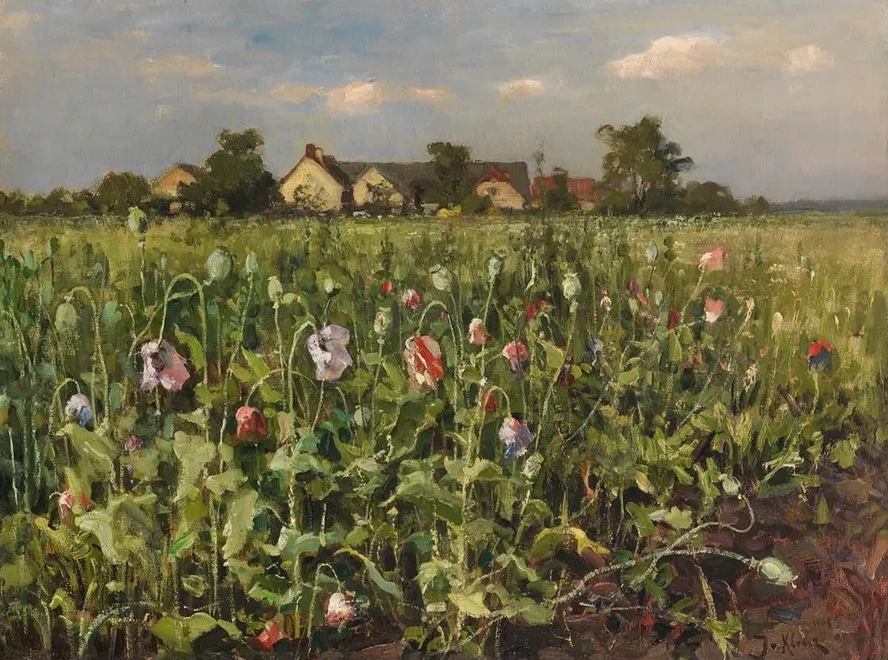 Bl hender Mohn