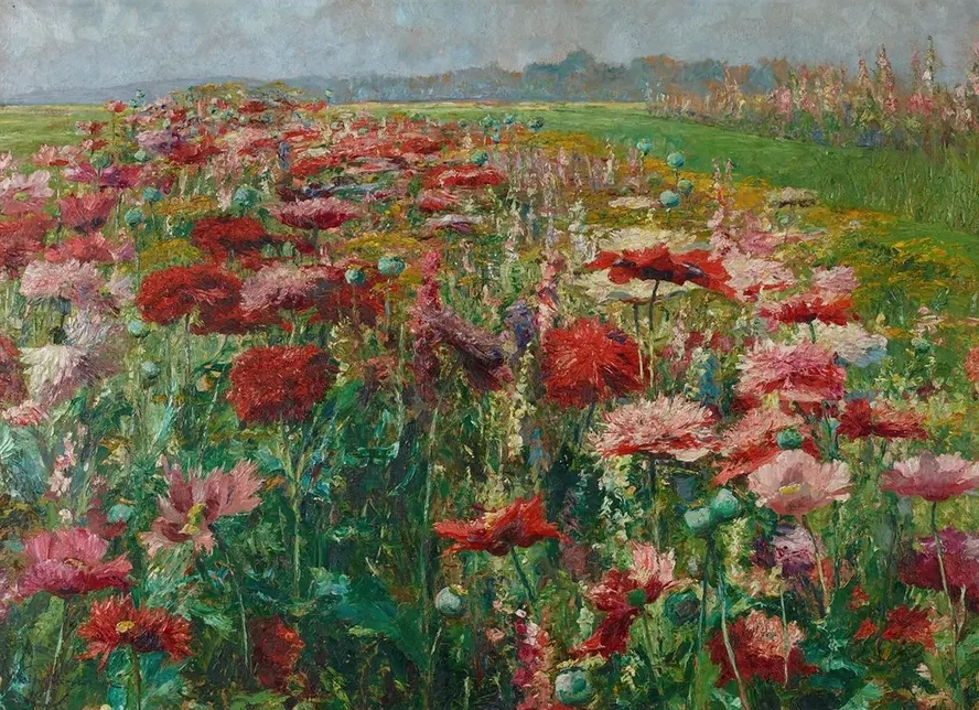 Bl hender Mohn