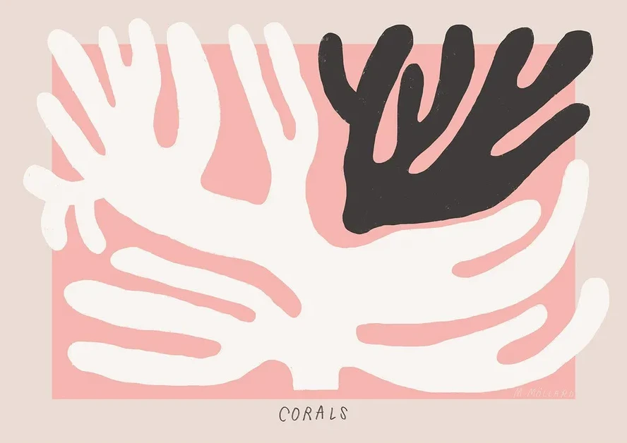 Black And White Corals