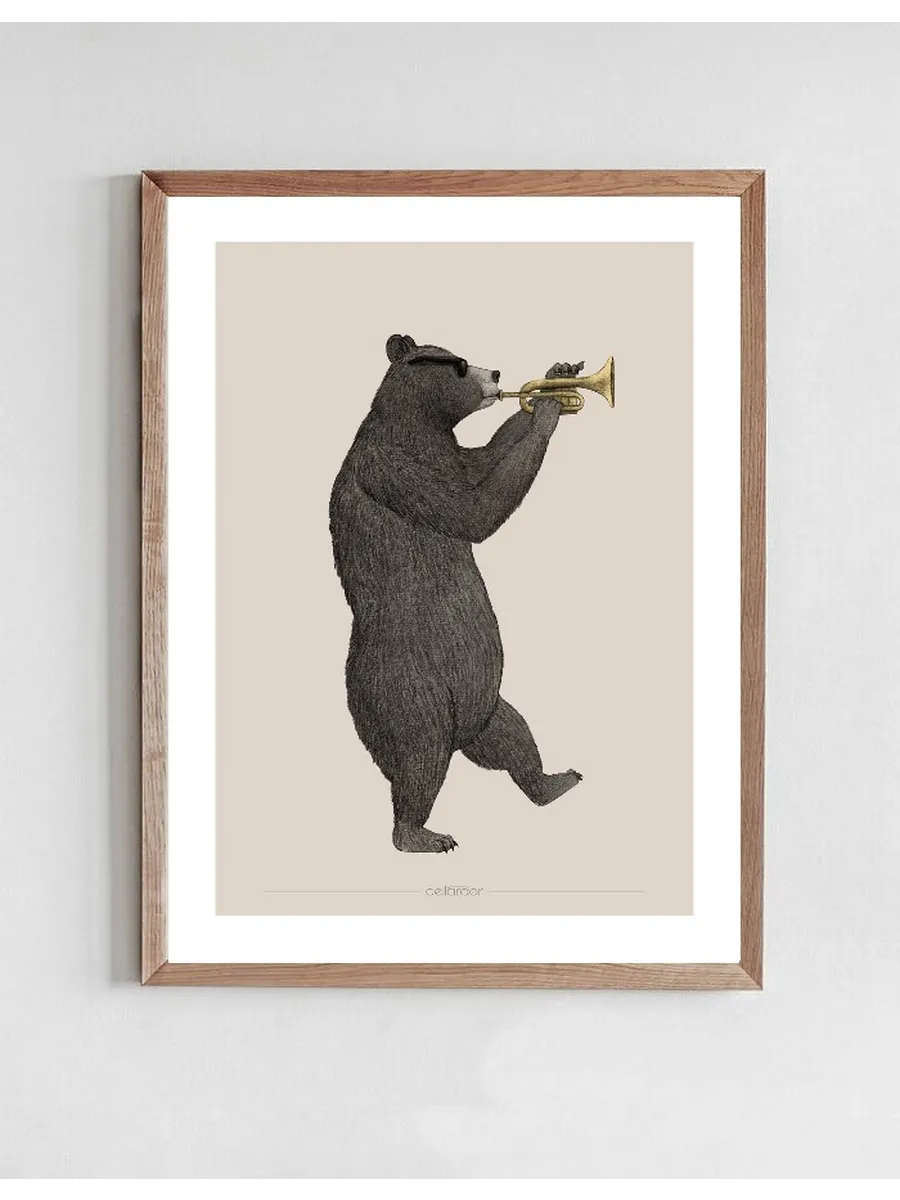 Black Bear