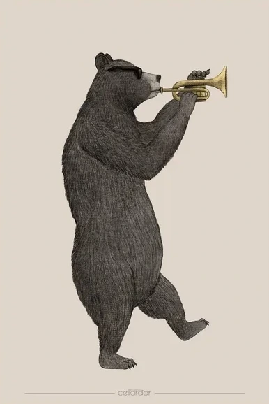 Black Bear