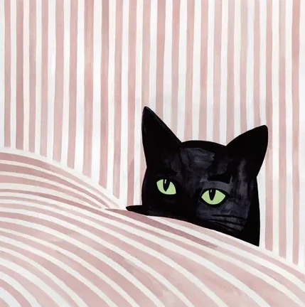 Black Cat