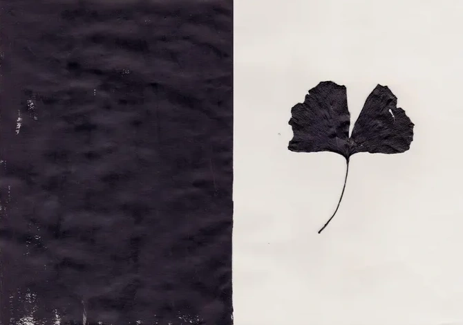 Black Ginkgo