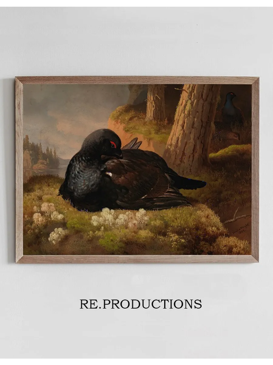 Black Grouse