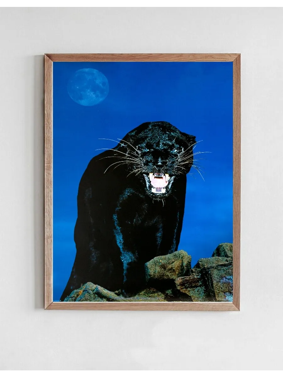 Black Panther