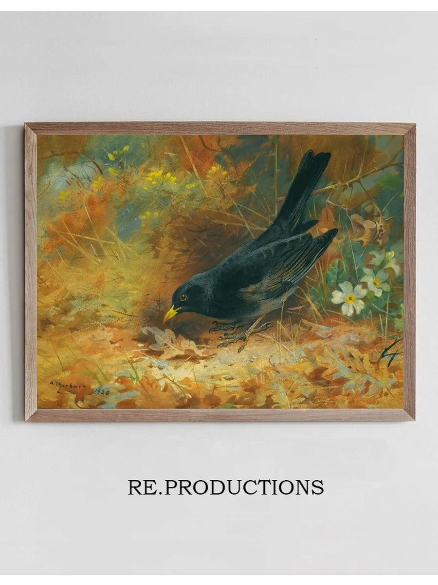 Blackbird