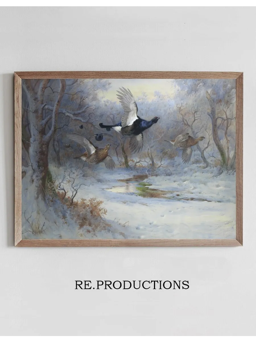 Blackcock And Grouse In Flight Winter