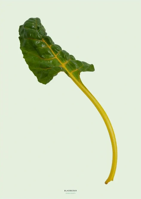 Bladbeder