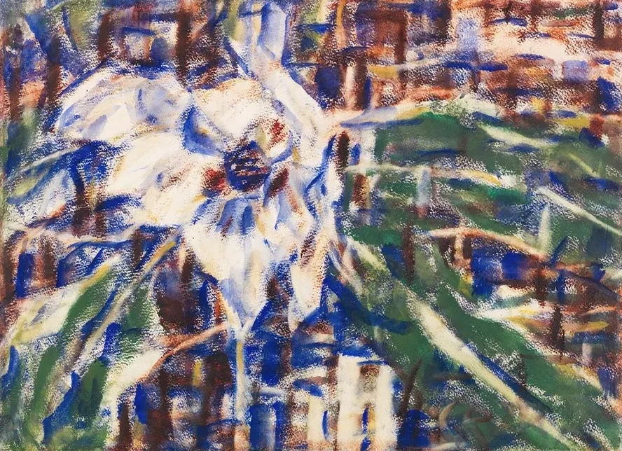 Blaue Magnolie