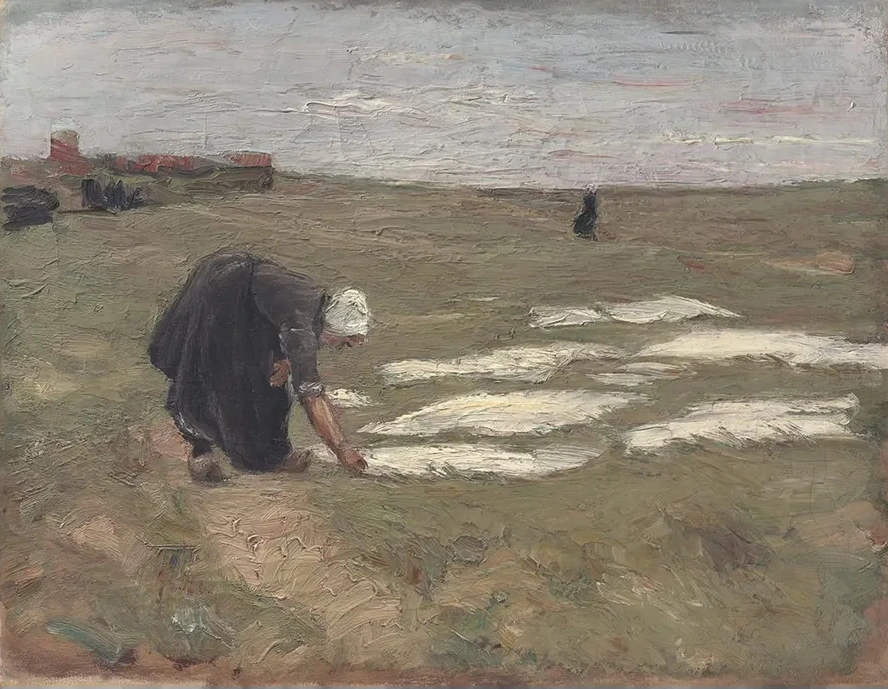 Bleiche Auf Den D Nen Bei Katwijk