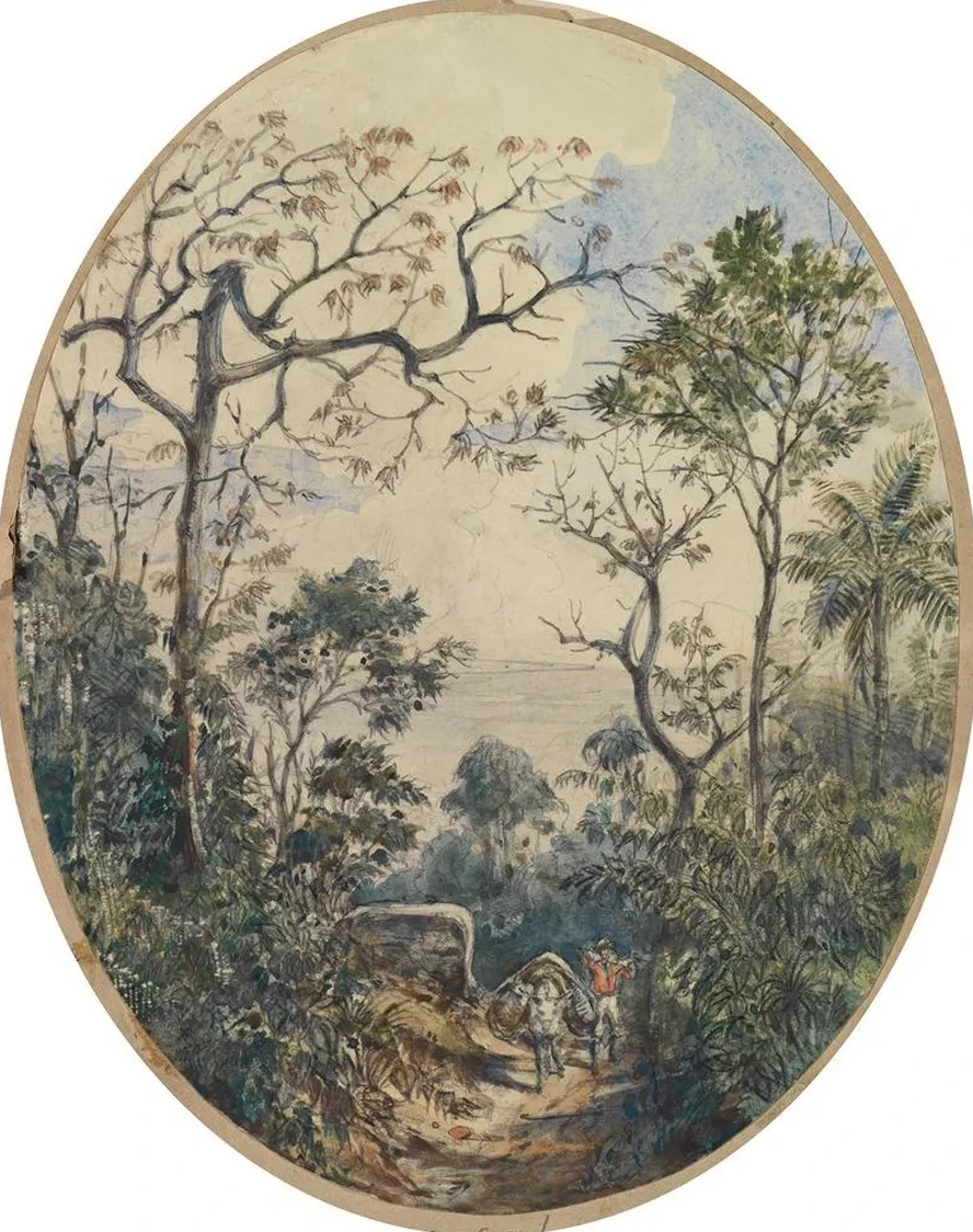 Blick Hinab Auf Lasttier Und Einen Mann Den Weg Hinaufkommend