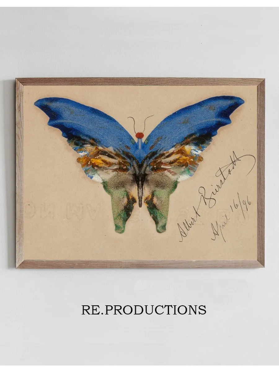 Blue Butterfly