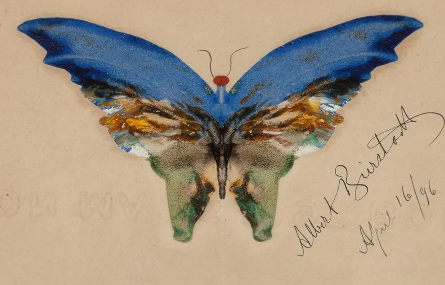 Blue Butterfly