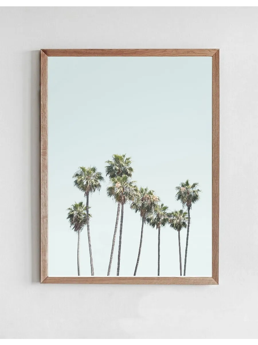 Blue Palm Trees
