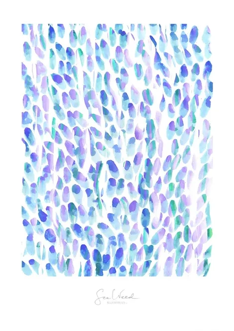 Blueberries 1