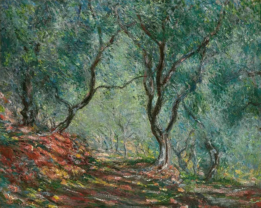 Bois D Oliviers Au Jardin Moreno