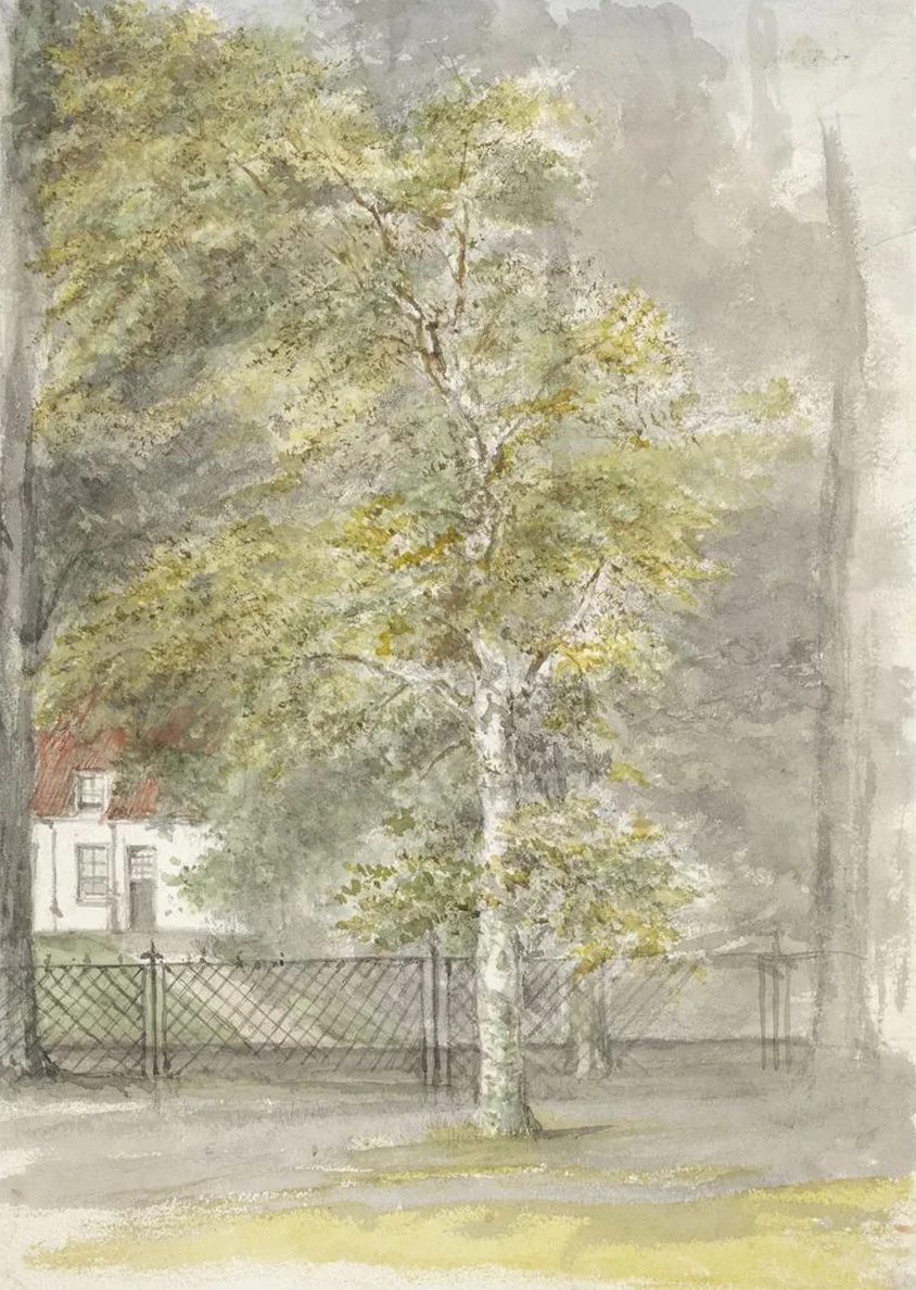Boom Voor Het Hek van Een Landhuis
