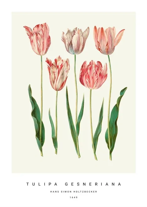 Botanic I
