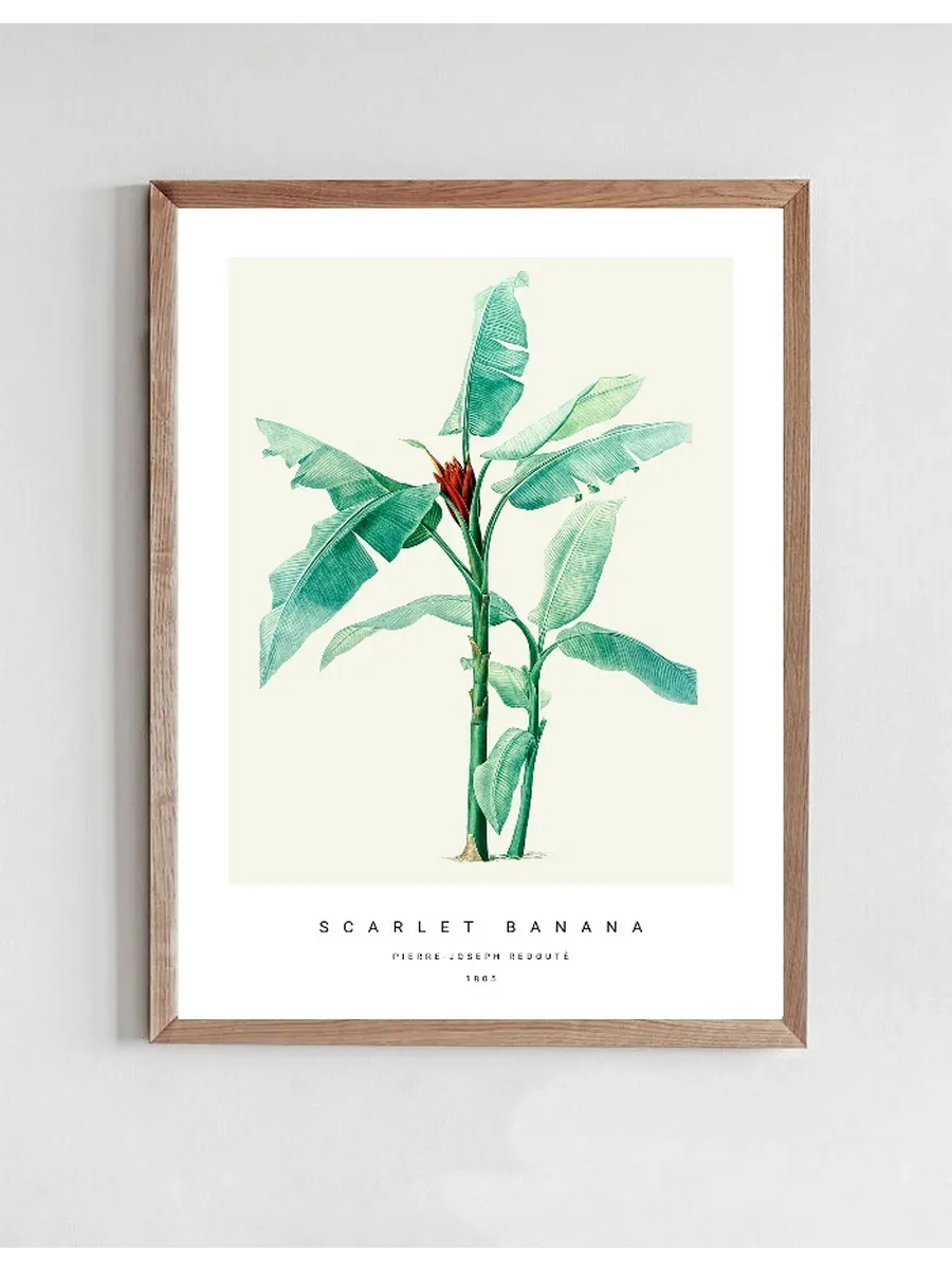 Botanic VI