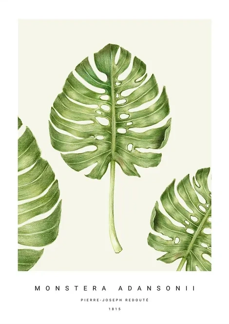 Botanic V
