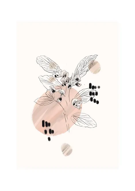 Botanica Fave
