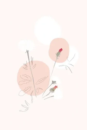 Botanica Giallo Rosa