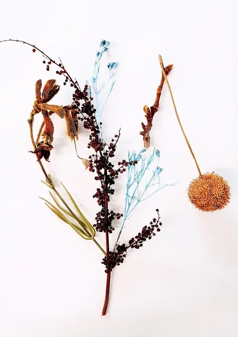 Botanical Remix