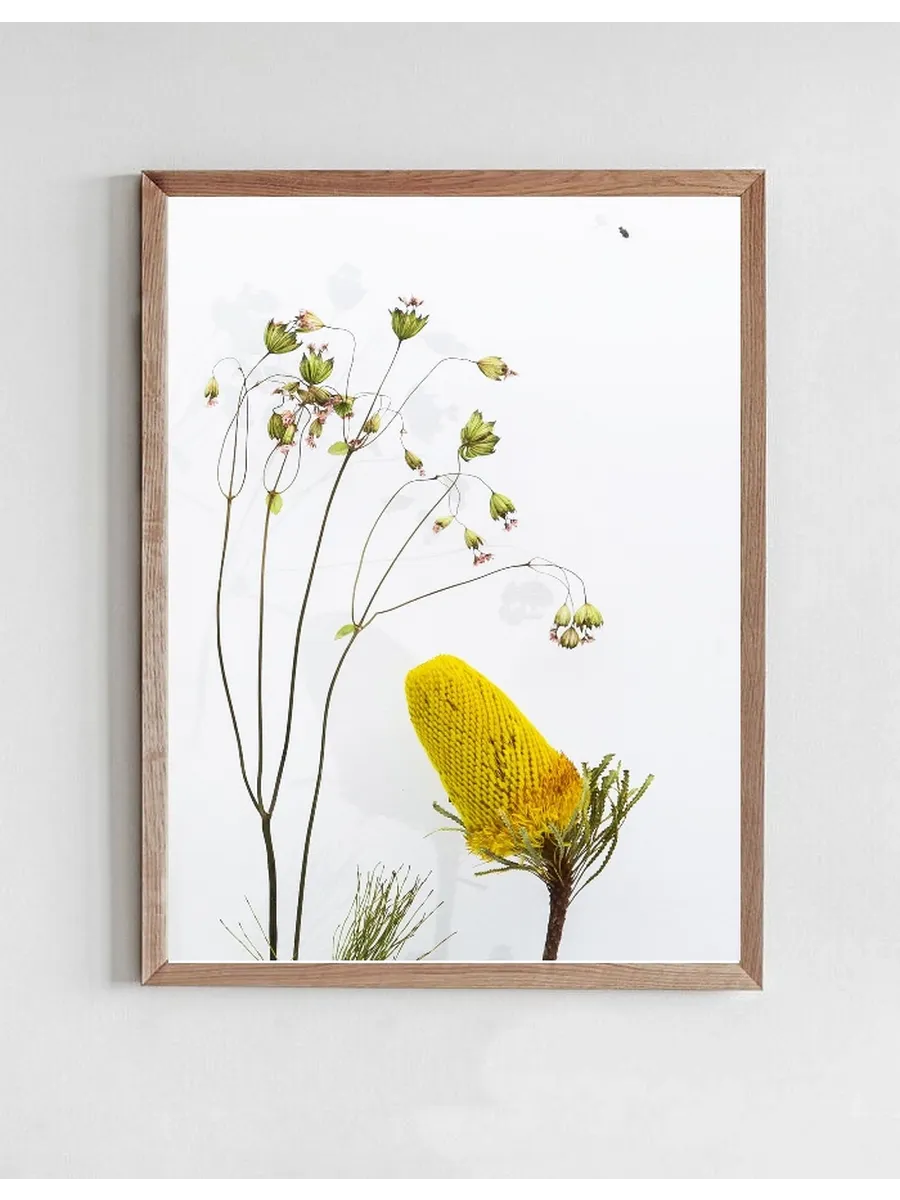 Botanical Remix